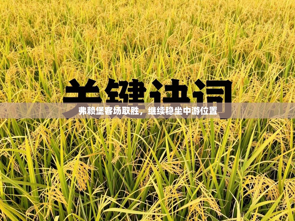 弗赖堡客场取胜,继续稳坐中游位置 第1张