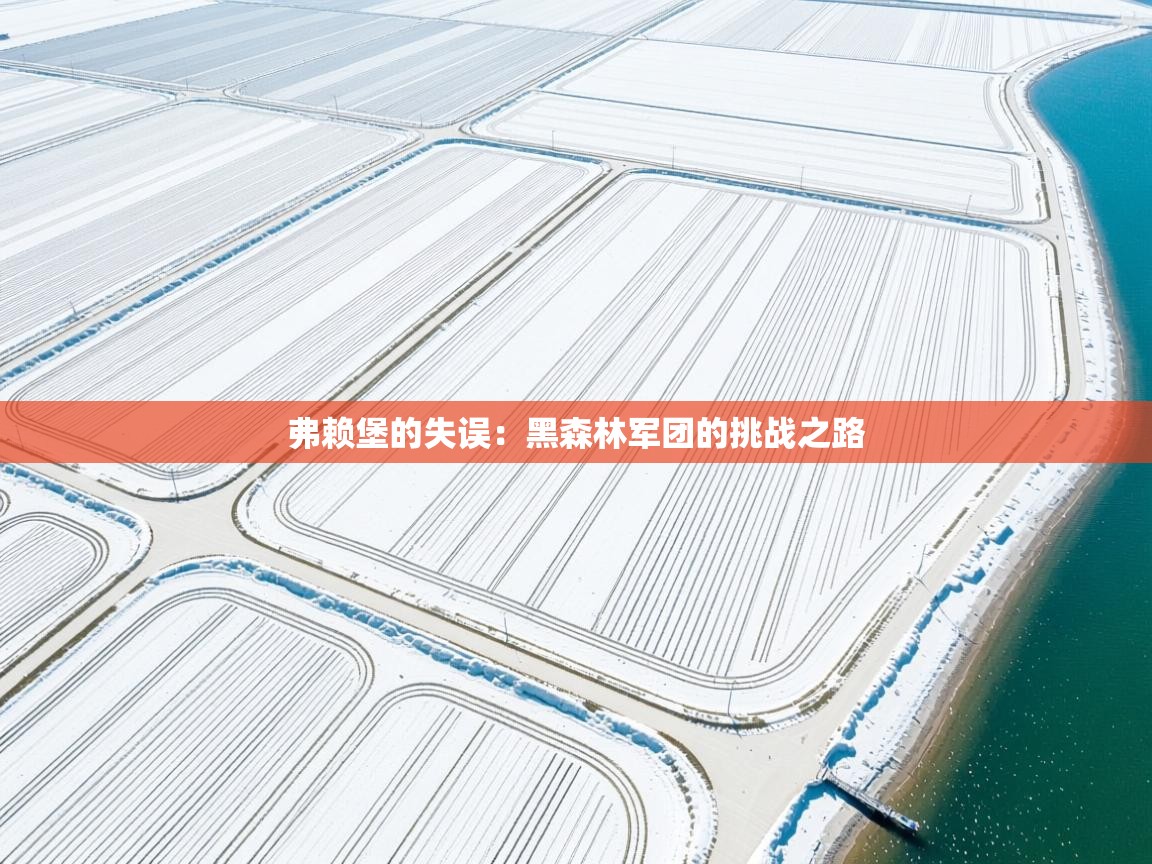 弗赖堡的失误：黑森林军团的挑战之路  第1张